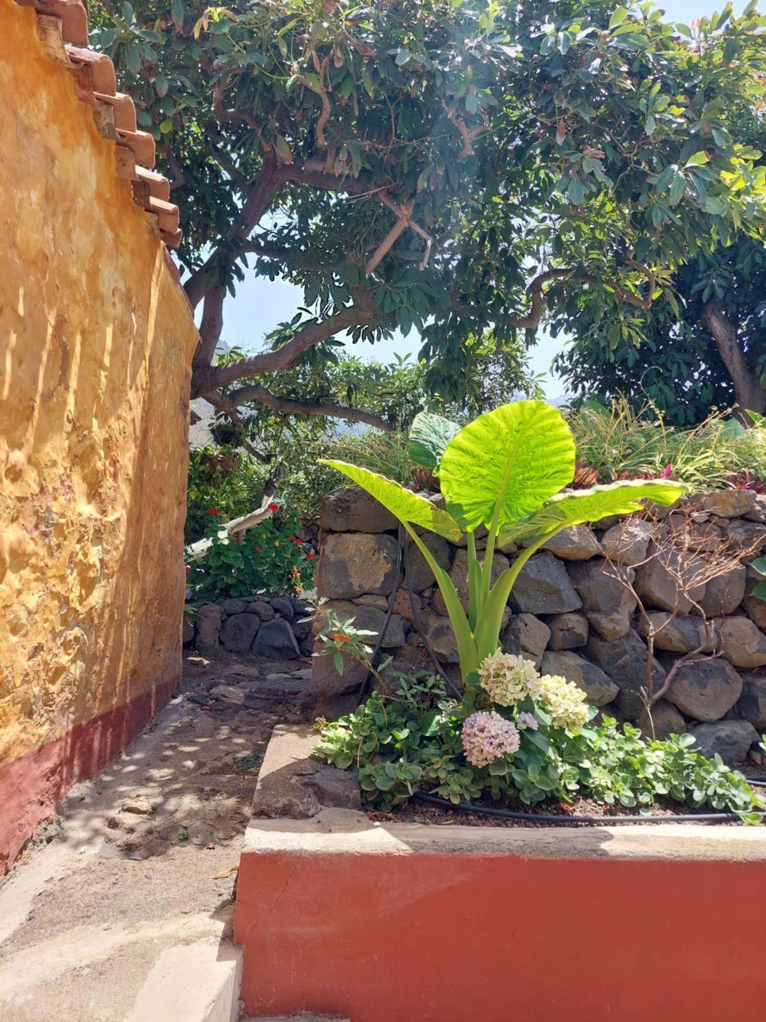 Finca La Plantacion _Agroturismo La Orotava Exterior photo
